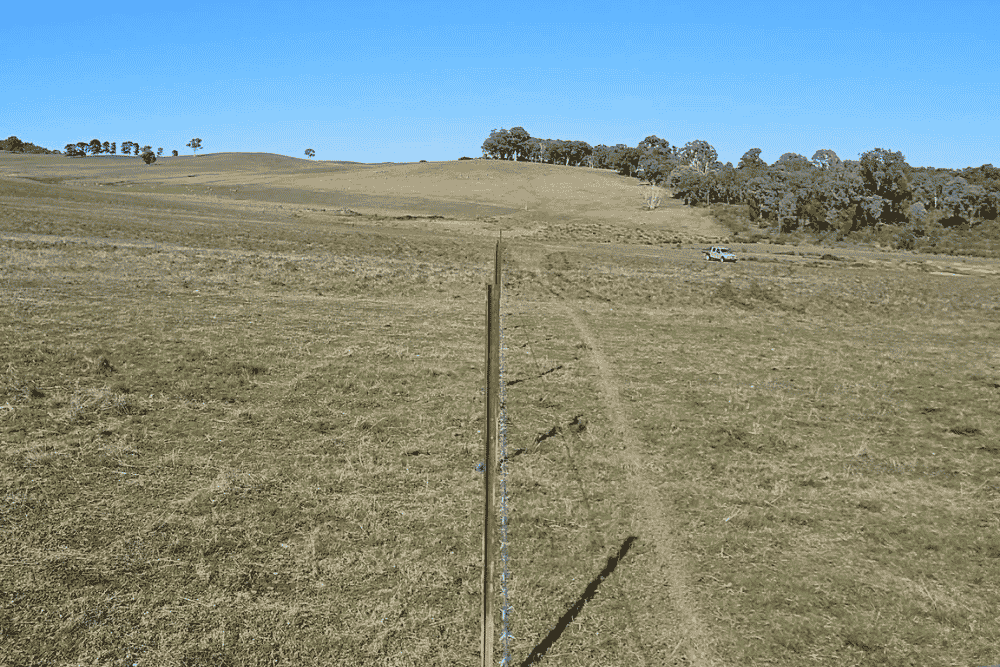 Straight wire fence running through a large, wide open rural paddock under a clear blue sky-